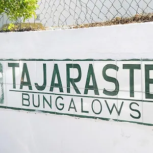 https://tajaraste.in-canary-islands.com